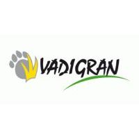 Vadigran