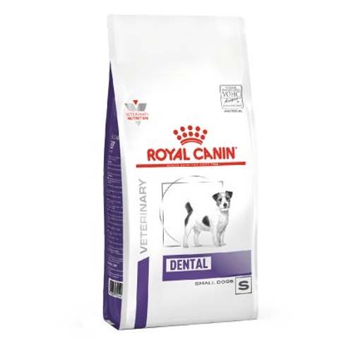 Royal canin dental discount