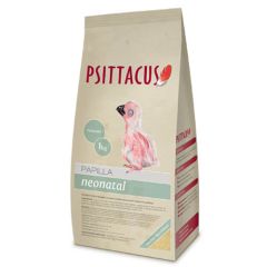 Psittacus Pappa Neonatale 1 Kg