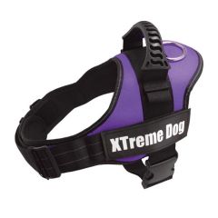 Pettorina Xtreme Dog lilla