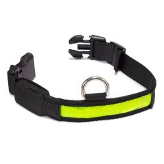 Collare luminoso a LED giallo