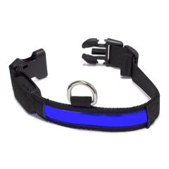 Collare luminoso a LED blu