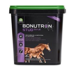 Bonutron Stud Cavalli (Spedizione 3 - 5 giorni)