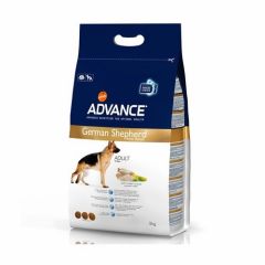 Advance German Shepherd (Pastore Tedesco)