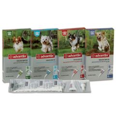 Pipette Advantix per cani