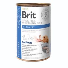 Brit GF Veterinary Diet Dog/Cat Recovery (Scatolette)