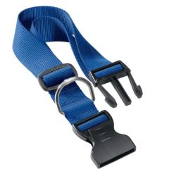 Collare Cane Club Blu