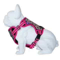 Pettorina Dog Freedog Boreal Fucsia