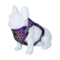 Pettorina Dog Freedog Boreal Purple