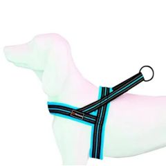Pettorina Dog Freedog Soft Sport Turquoise