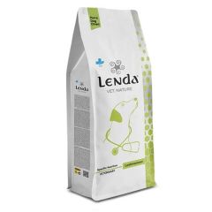 Lenda Dog Vet Nature Leishmaniasis