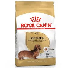Royal Canin Bassotto Tedesco (Dachshund Adult)