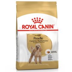 Royal Canin Barboncino Adult (Poodle)
