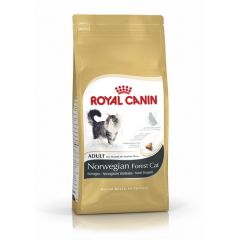 Royal Canin Norvegese delle Foreste