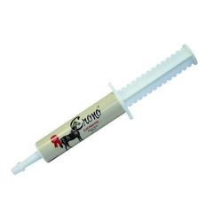Crono Electrolytes Cavalli