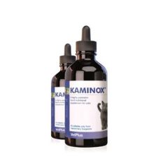 Kaminox Gatti
