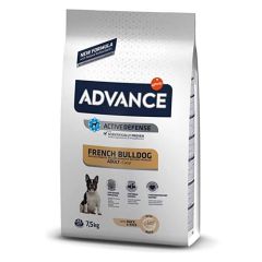 Advance Bulldog Francese