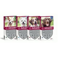 Pipette Advantix per cani