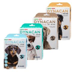 Dynacan