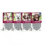Pipette Advantix per cani