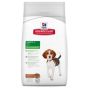 Hill'sScience Plan Canine Puppy Medium Agnello & Riso