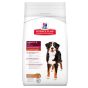 Hill's Science Plan Canine Adult Large Breed Agnello & Riso
