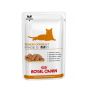 Royal Canin Cat Early Renal (Bustine)