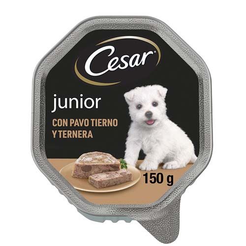 Cesar Junior (Scatolette) 150 gr x 14