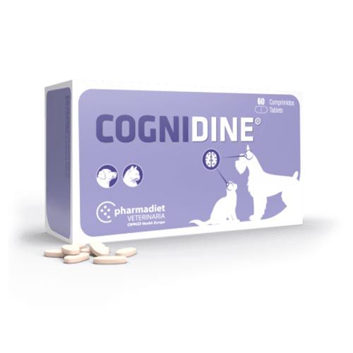 Cognidine (60 compresse)