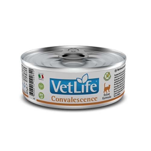 Farmina Vet Life Convalescence Gatto (Scatolette) 85 gr x 12