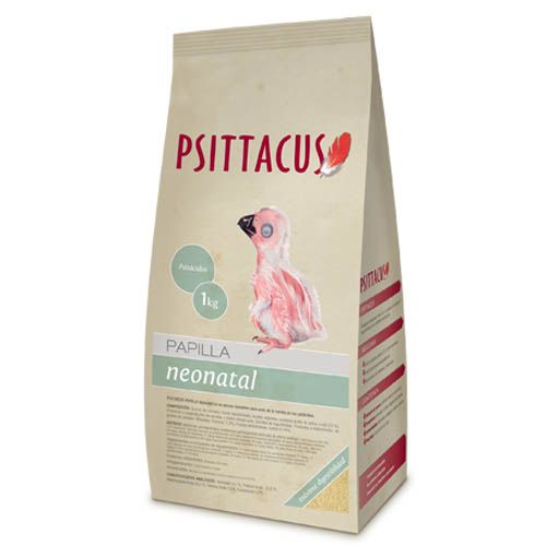 Psittacus Pappa Neonatale 1 Kg