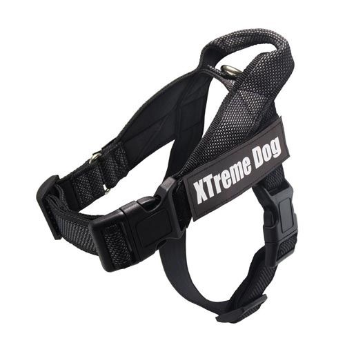 Pettorina Xtreme Classics Dog nera