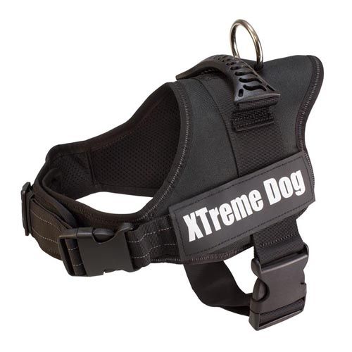 Pettorina Xtreme Dog nera