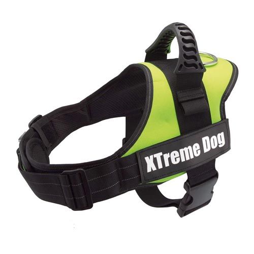 Pettorina Xtreme Dog verde