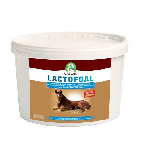 Lactofoal Cavalli