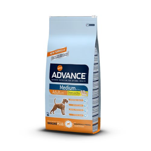 Advance Medium Adult Pollo e Riso