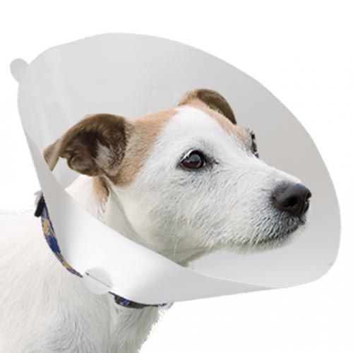 Collare veterinario per cani
