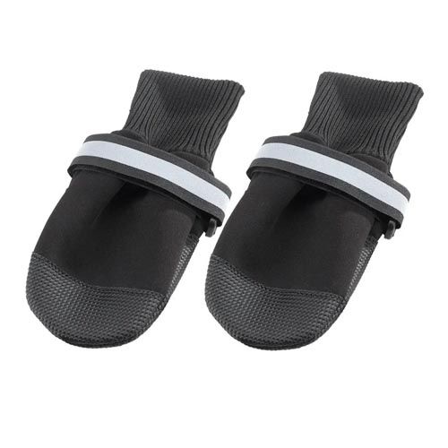 Calzado protector Perro