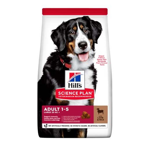 Hill's Science Plan Canine Adult Large Breed Agnello & Riso