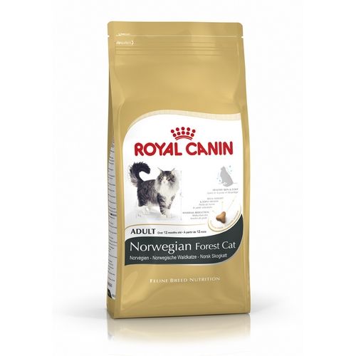 Royal Canin Norvegese delle Foreste