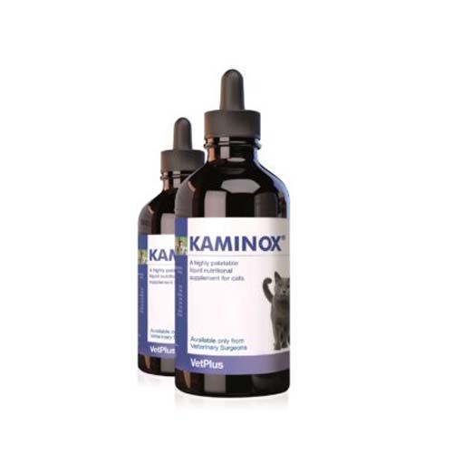 Kaminox Gatti