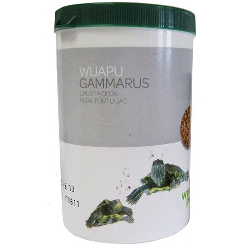 Wuapu Gammarus Tartarughe