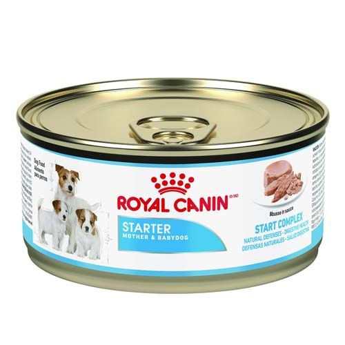 Royal Canin Dog Starter Mother & Babydog (Scatolette) 195 gr x 12